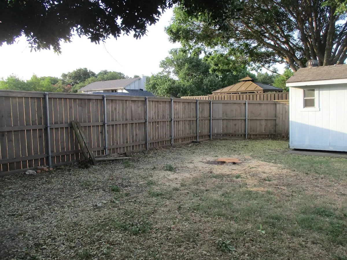 Cleared yard after professional tree removal in Coalville